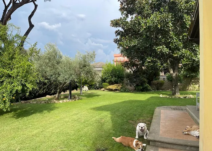 Paradise * Roma